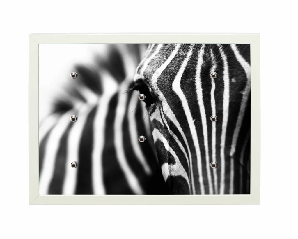 Universalboard "Fine Art White L50" Motiv 167 Zebra / Magnettafel, Schlüsselboard, Wandbild  50x40cm Rahmen weiß